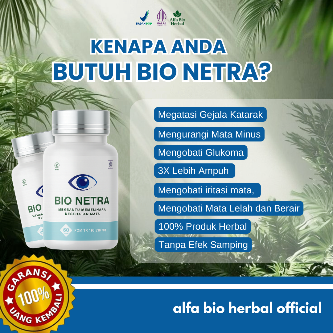 handpicked red chillies handpicked red chillies